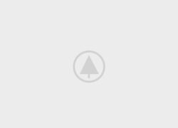 wood-gallery-placeholder