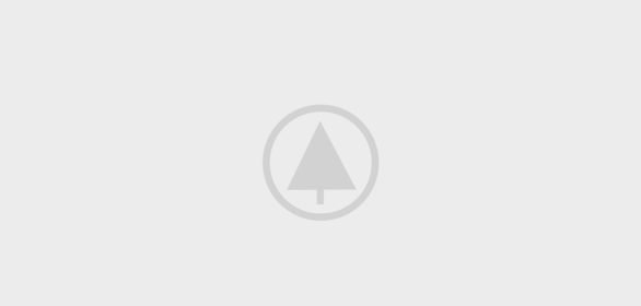 wood-portfolio-placeholder